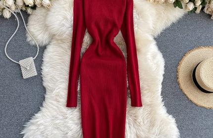 Sexy Turtleneck Knitted Bodycon Dress