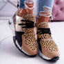 Leopard / 35