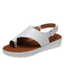 White / 36