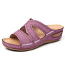 Purple / 35