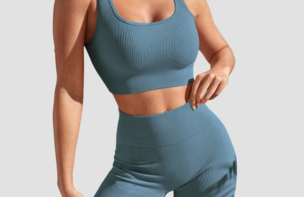 Seamless Yoga Sports Set