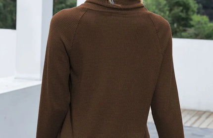 Drawstring Mock Neck Raglan Sleeve Hoodie