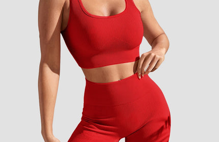 Seamless Yoga Sports Set
