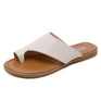 Apricot Color / 36