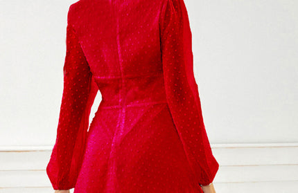 Elegant Long Sleeve Dress