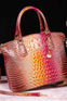 Brown/Pink / One Size